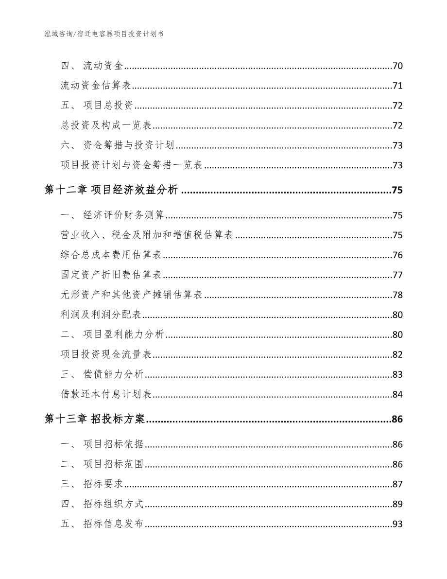 宿迁电容器项目投资计划书范文模板_第5页