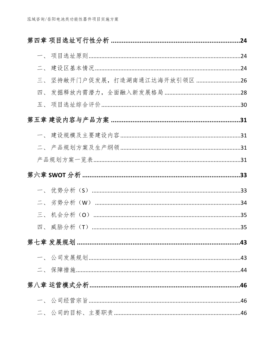 岳阳电池类功能性器件项目实施方案（模板）_第2页