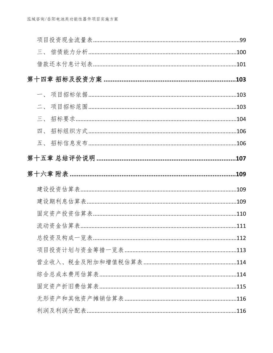 岳阳电池类功能性器件项目实施方案（模板）_第5页