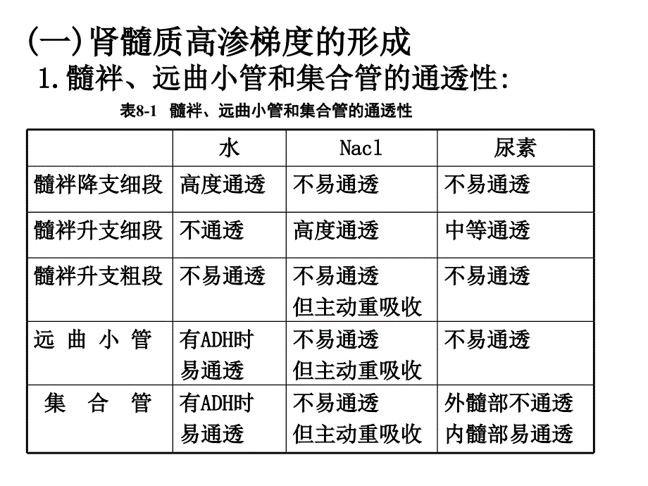 尿液浓缩、稀释的过程和机制课件_第3页