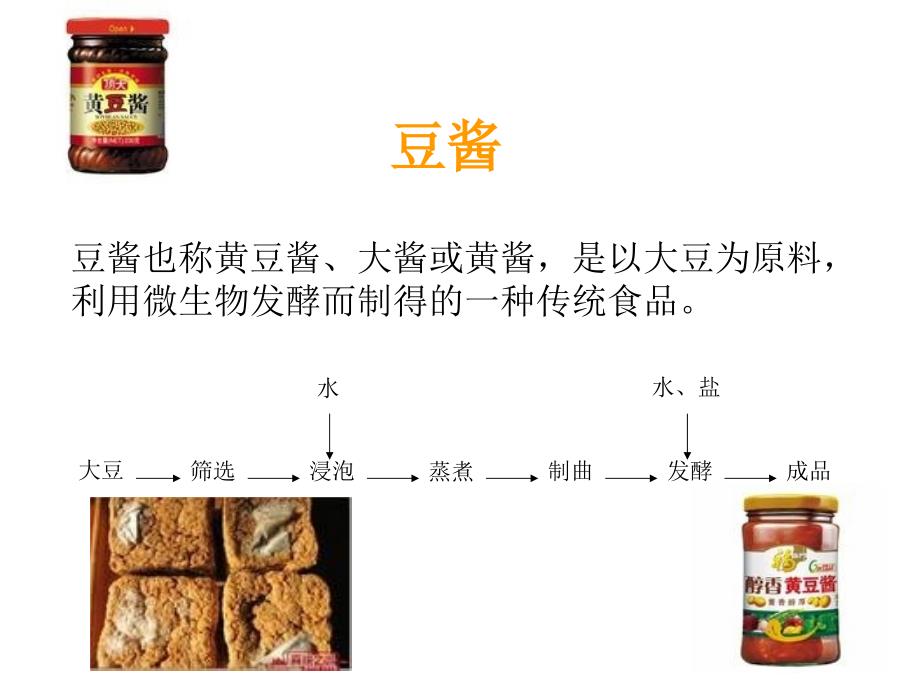 其他发酵豆制品PPT课件_第2页