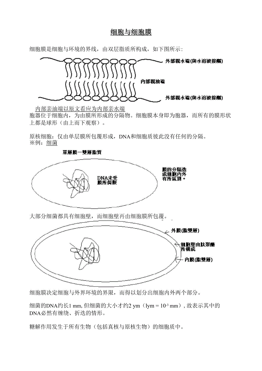 细胞与细胞膜_第1页