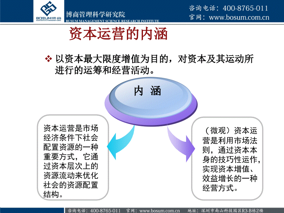 浅谈资本运营ppt_第4页