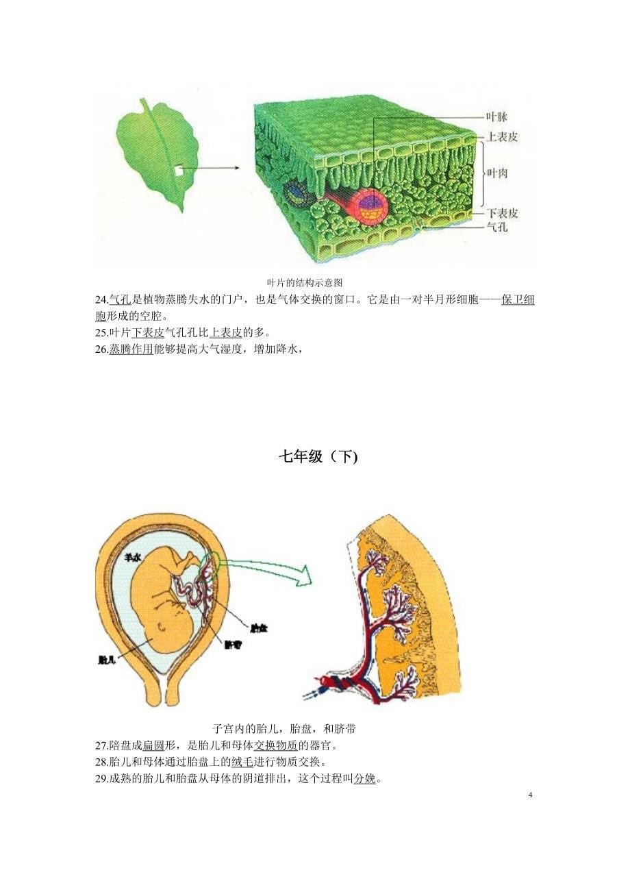 初中生物图专题(附题目).doc_第5页