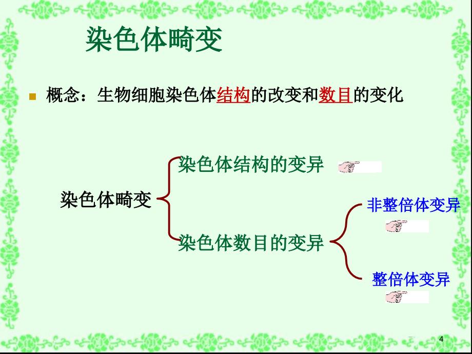 01染色体变异讲课_第4页