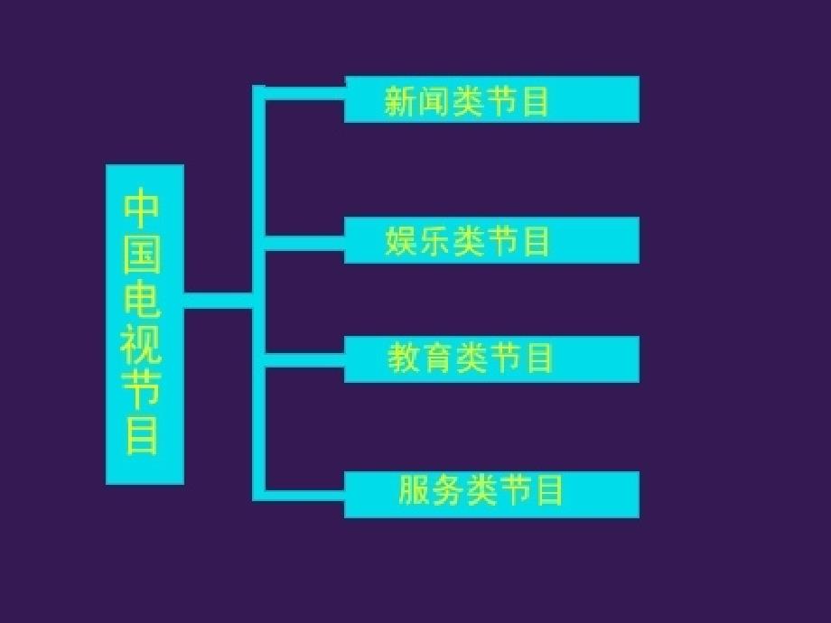 电视栏目分析与策划_第5页