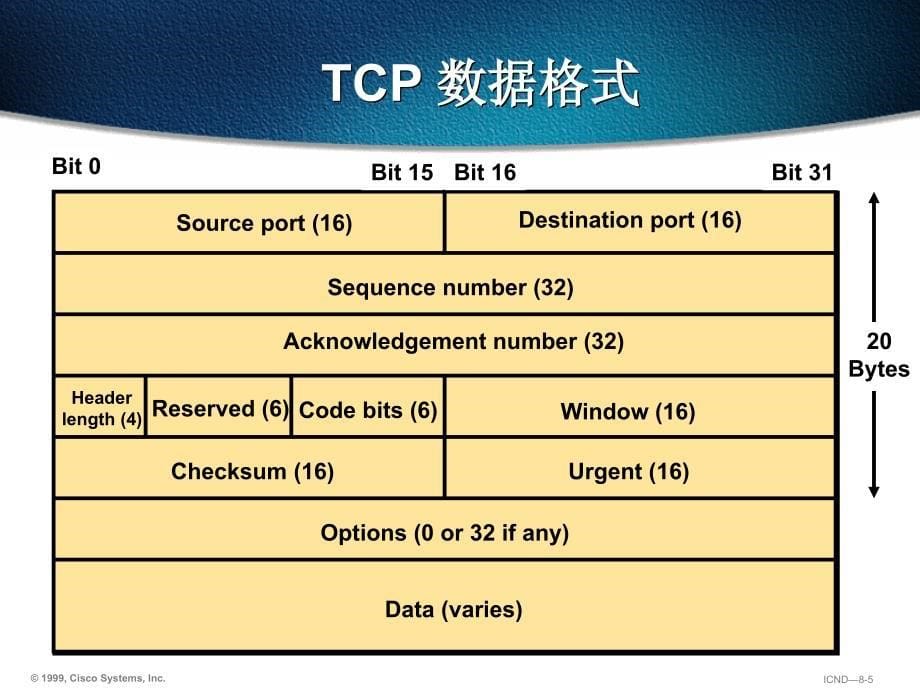 网络技术实训CH2TCPIP协议课件_第5页