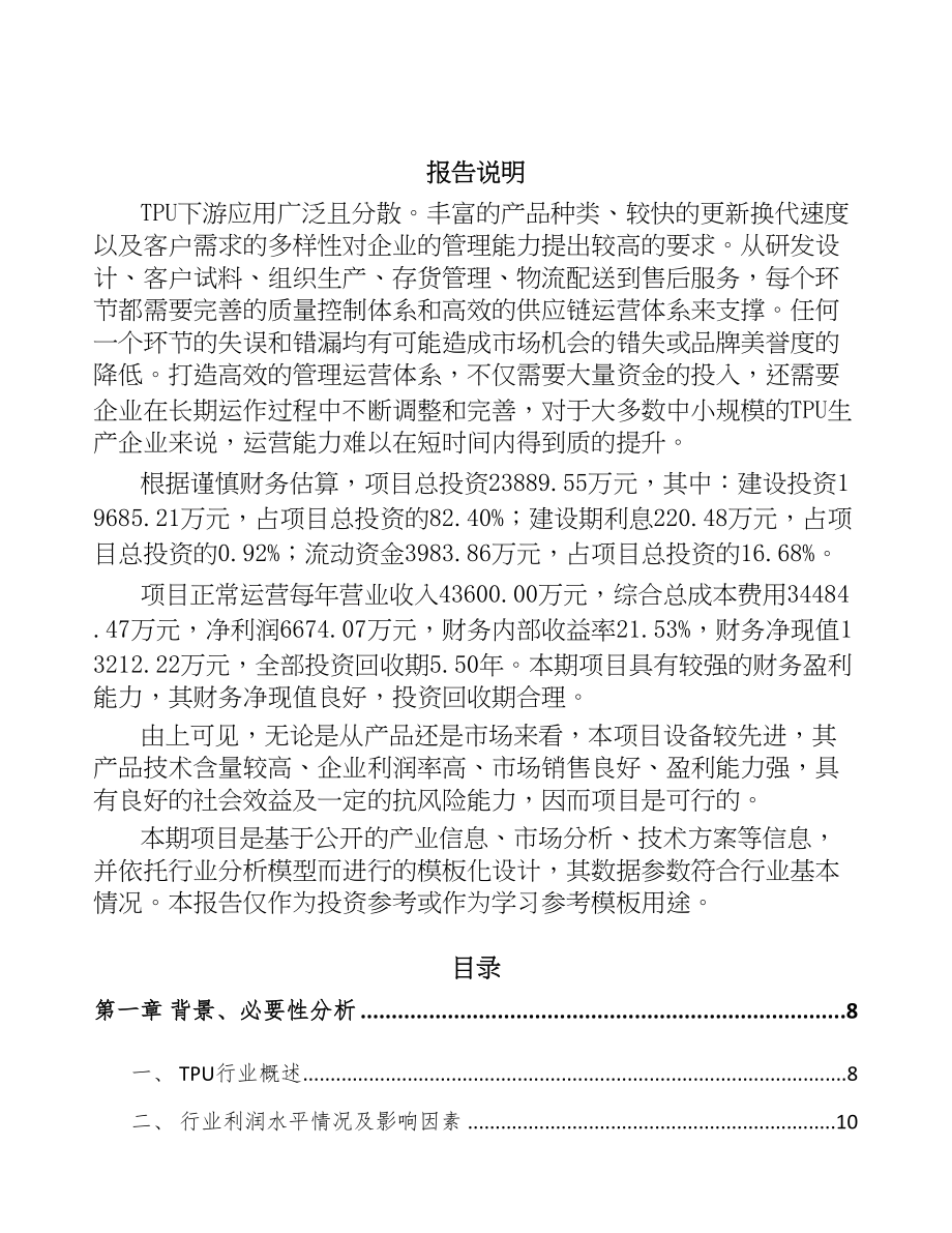 北京TPU产品项目可行性研究报告(DOC 60页)_第2页