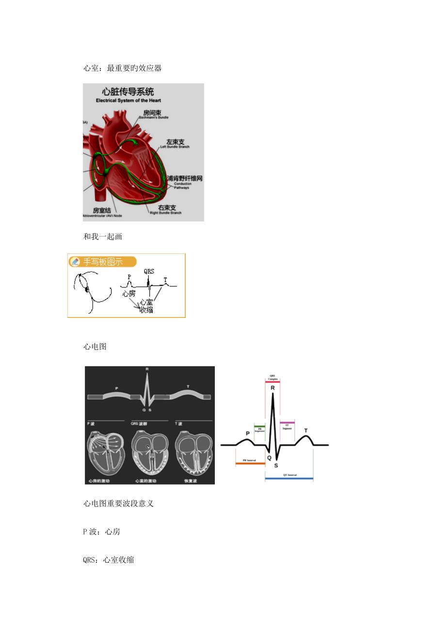 心律失常考点汇总_第2页