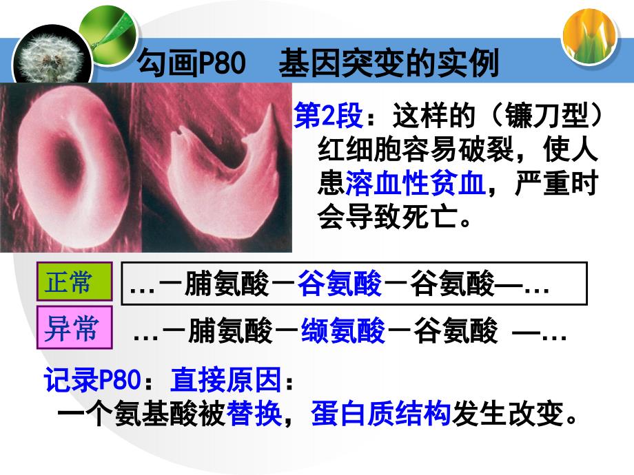 生物课件——基因突变和基因重组_第2页