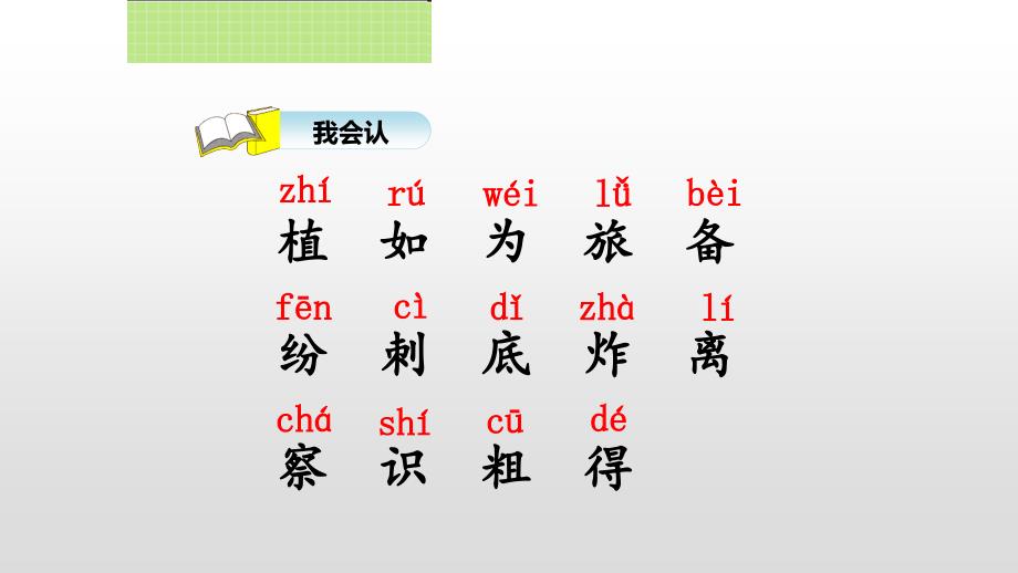 3.植物妈妈有办法（第一课时）_第3页