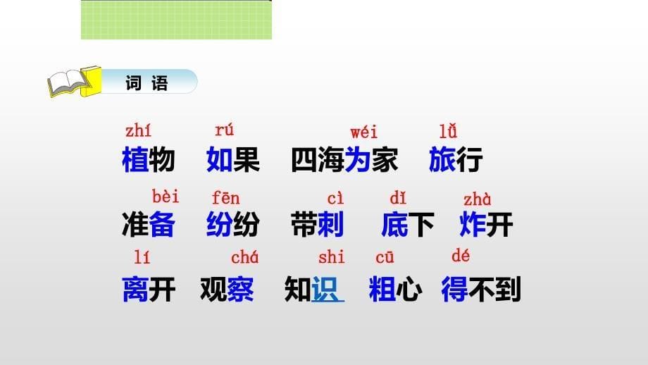 3.植物妈妈有办法（第一课时）_第5页