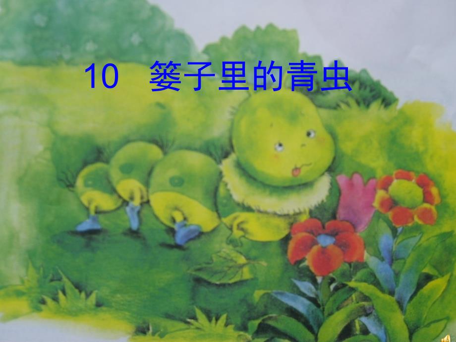 《篓子里的青虫》(1)_第1页