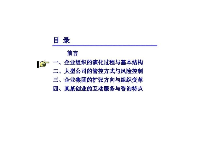 公司治理结构与集团化管理2_第5页