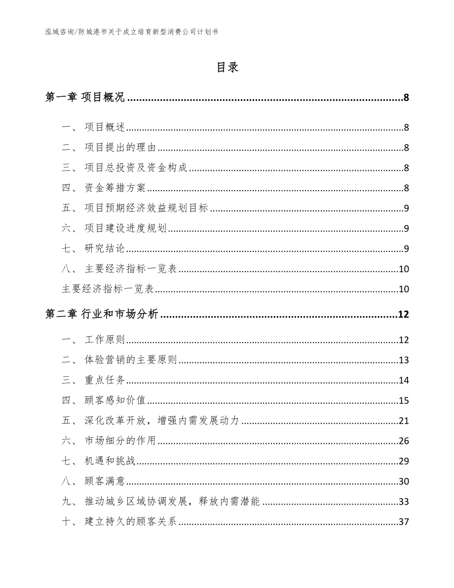 防城港市关于成立培育新型消费公司计划书范文参考_第2页