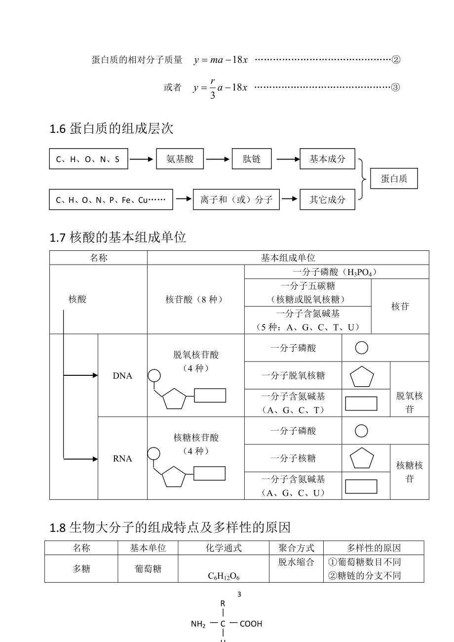 高中生物知识网络_第3页