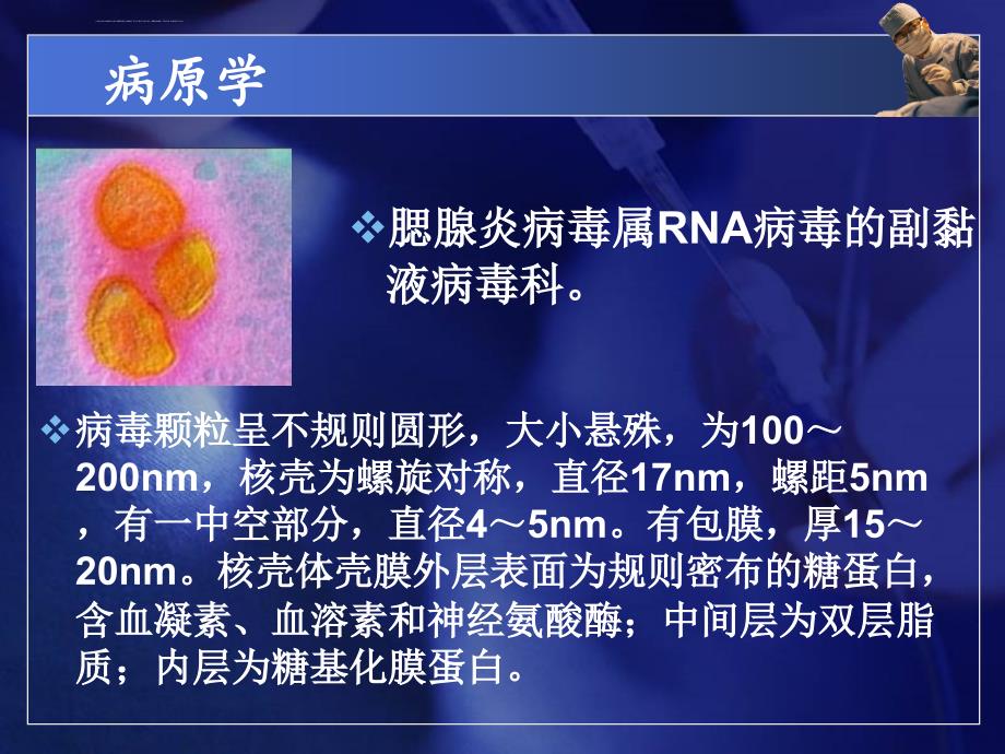 流行性腮腺炎ppt课件_第4页