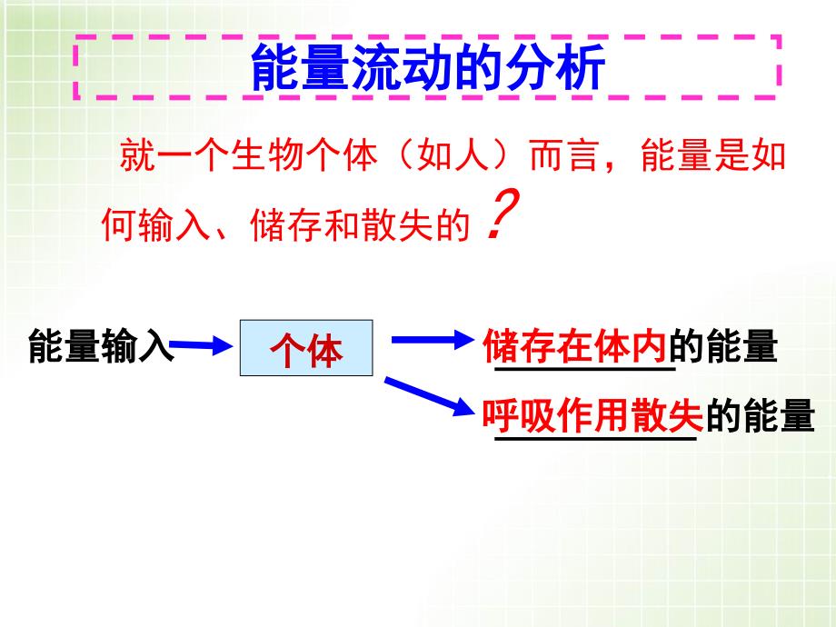 生态系统中的能量流动2_第4页