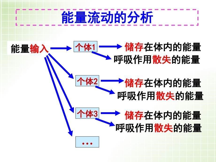 生态系统中的能量流动2_第5页