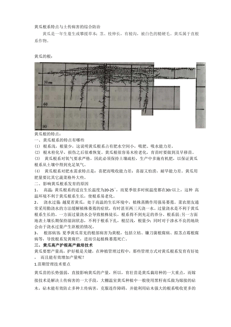 西瓜根系特点与土传病害的综合防治_第1页