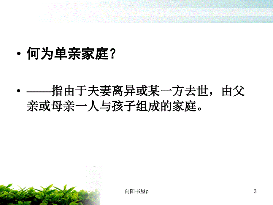 单亲、离异、重组家庭儿童心理健康教育[行业特制]_第3页