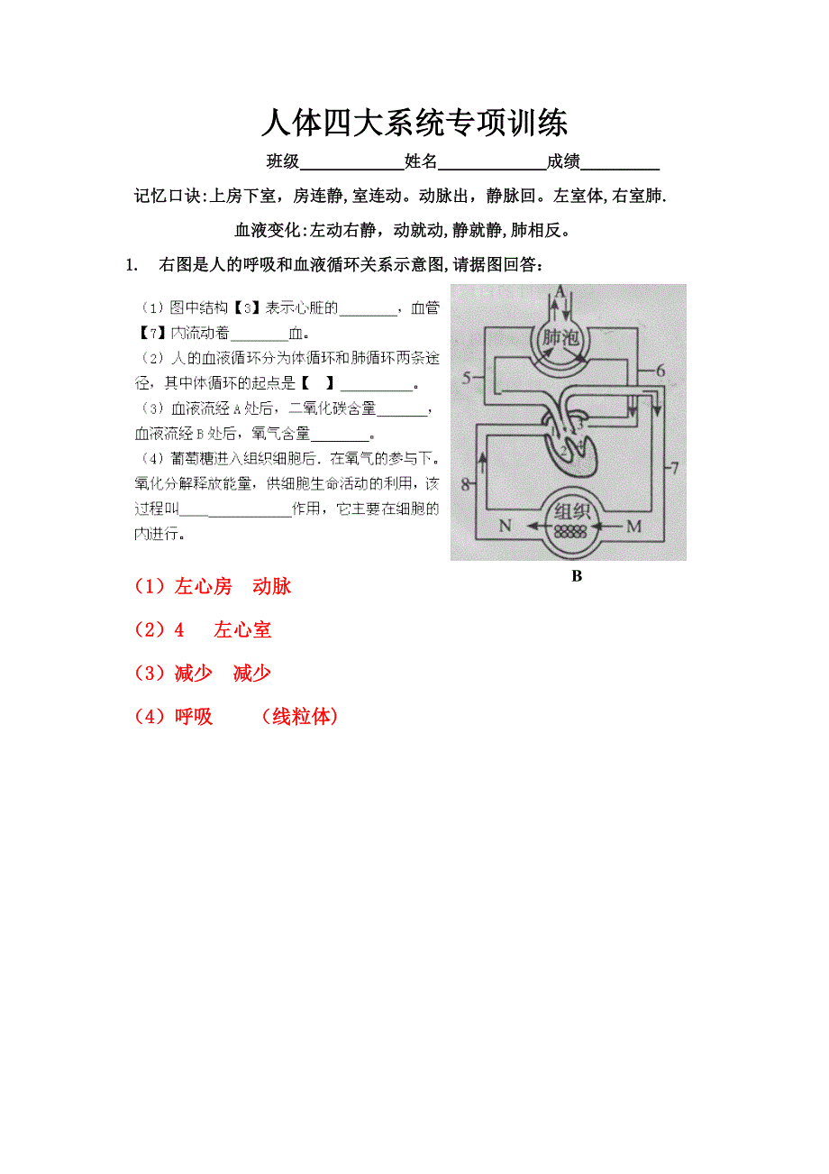 人体四大系统--专题训练(有答案)_第1页