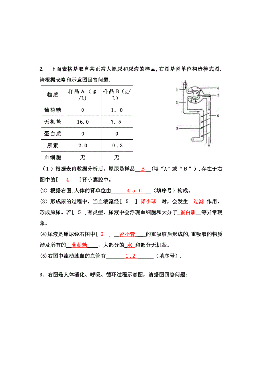 人体四大系统--专题训练(有答案)_第2页