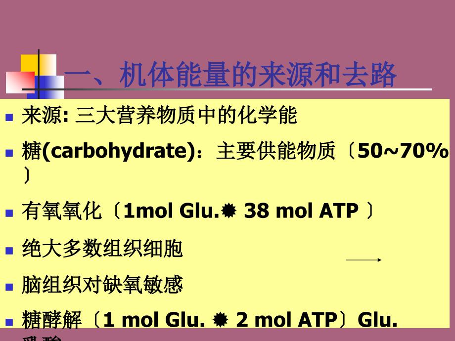 能量代谢ppt课件_第4页