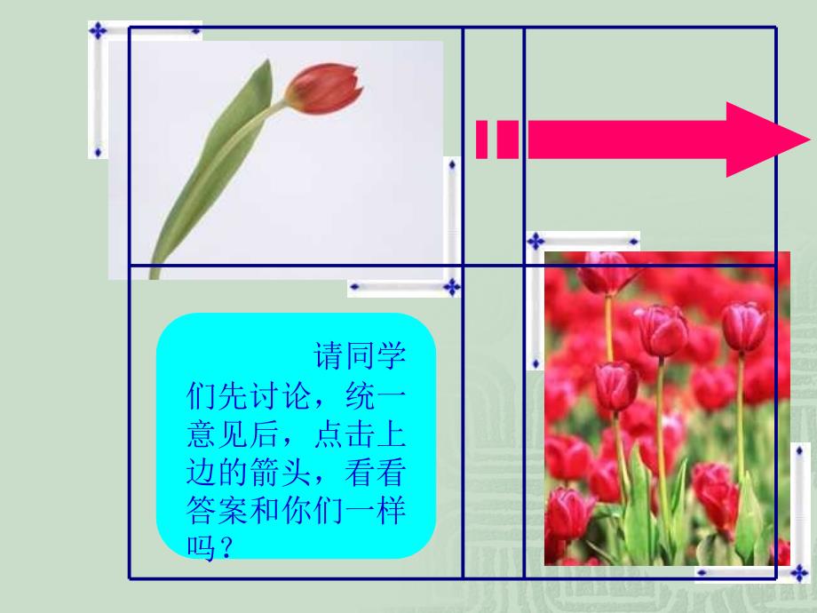 苏教版小学二年级下册美术-茂密的花.ppt_第4页