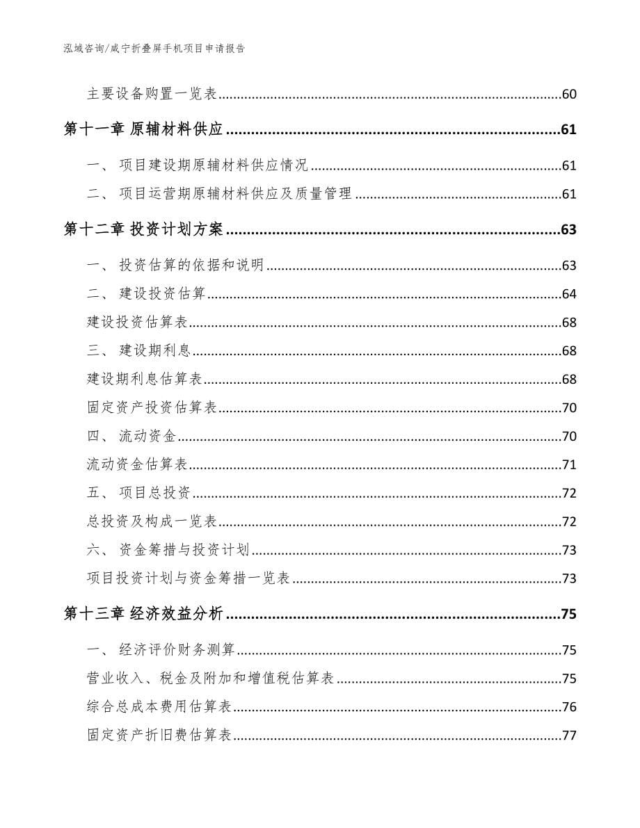 咸宁折叠屏手机项目申请报告_第5页