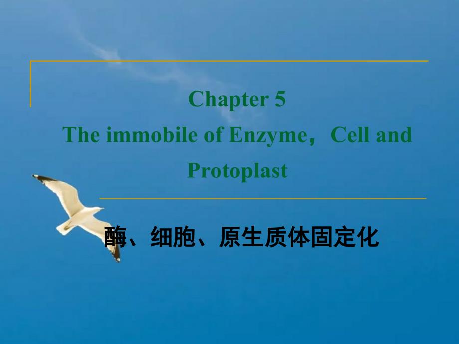 第五章酶的固定化ppt课件_第1页