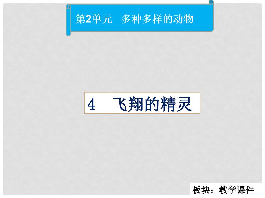 四年级科学上册 2.4 飞翔的精灵课件1 湘教版_第1页