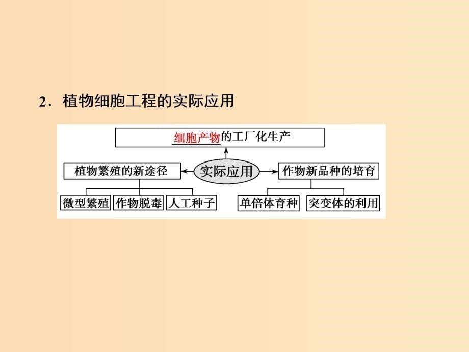 2019版高考生物一轮复习第十一单元现代生物科技专题第二讲细胞工程课件苏教版.ppt_第5页