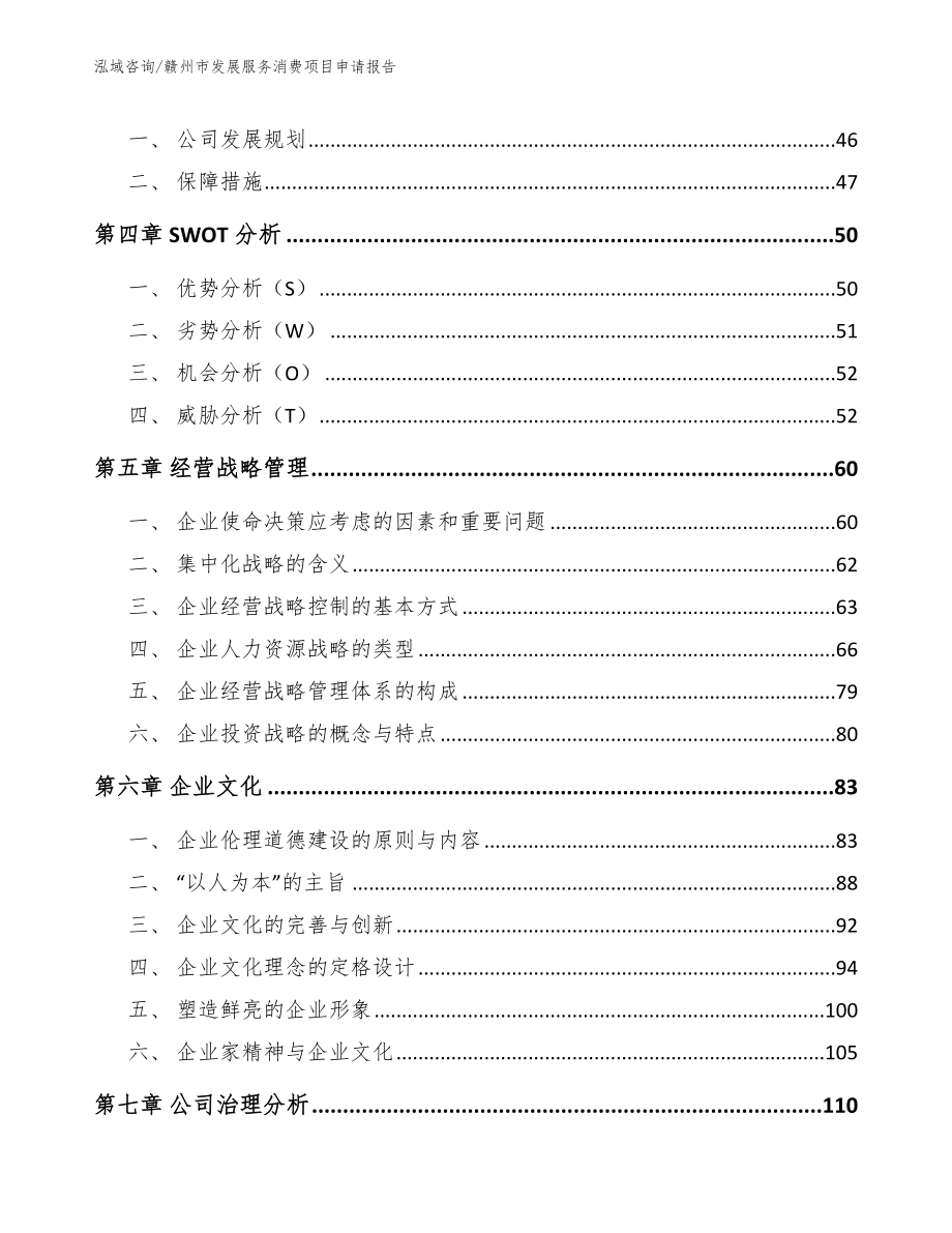 赣州市发展服务消费项目申请报告【参考模板】_第2页
