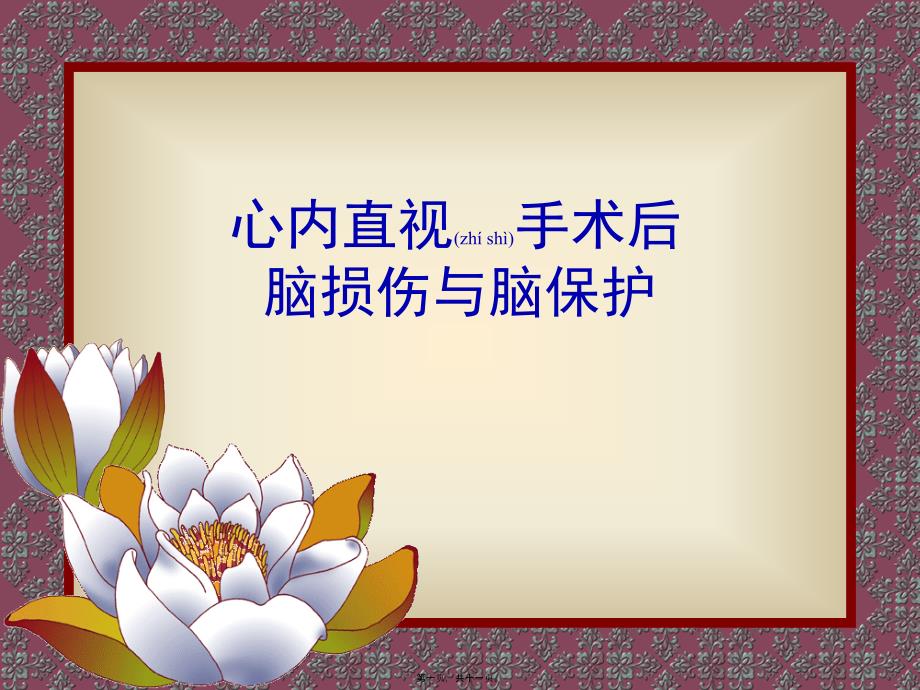 医学专题—心手术脑保护29673_第1页