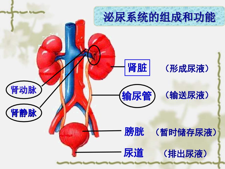 张家口市十九中学刘志娟_第2页