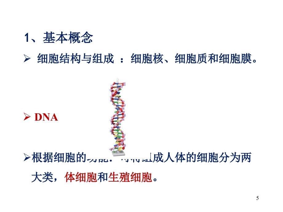 辐射的生物效应.PPT_第5页