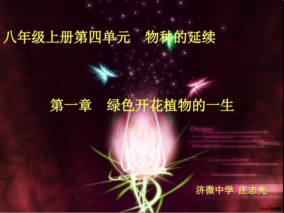 八年级上册第四单元_第1页