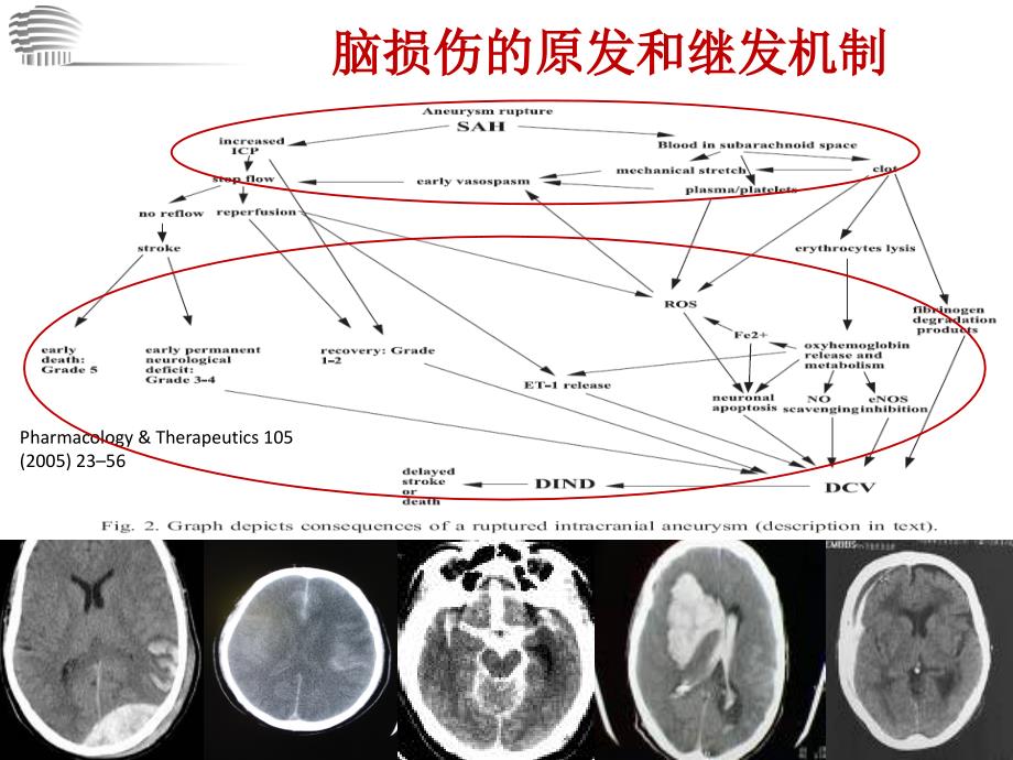 目标化镇静和体温管理与脑保护_第3页