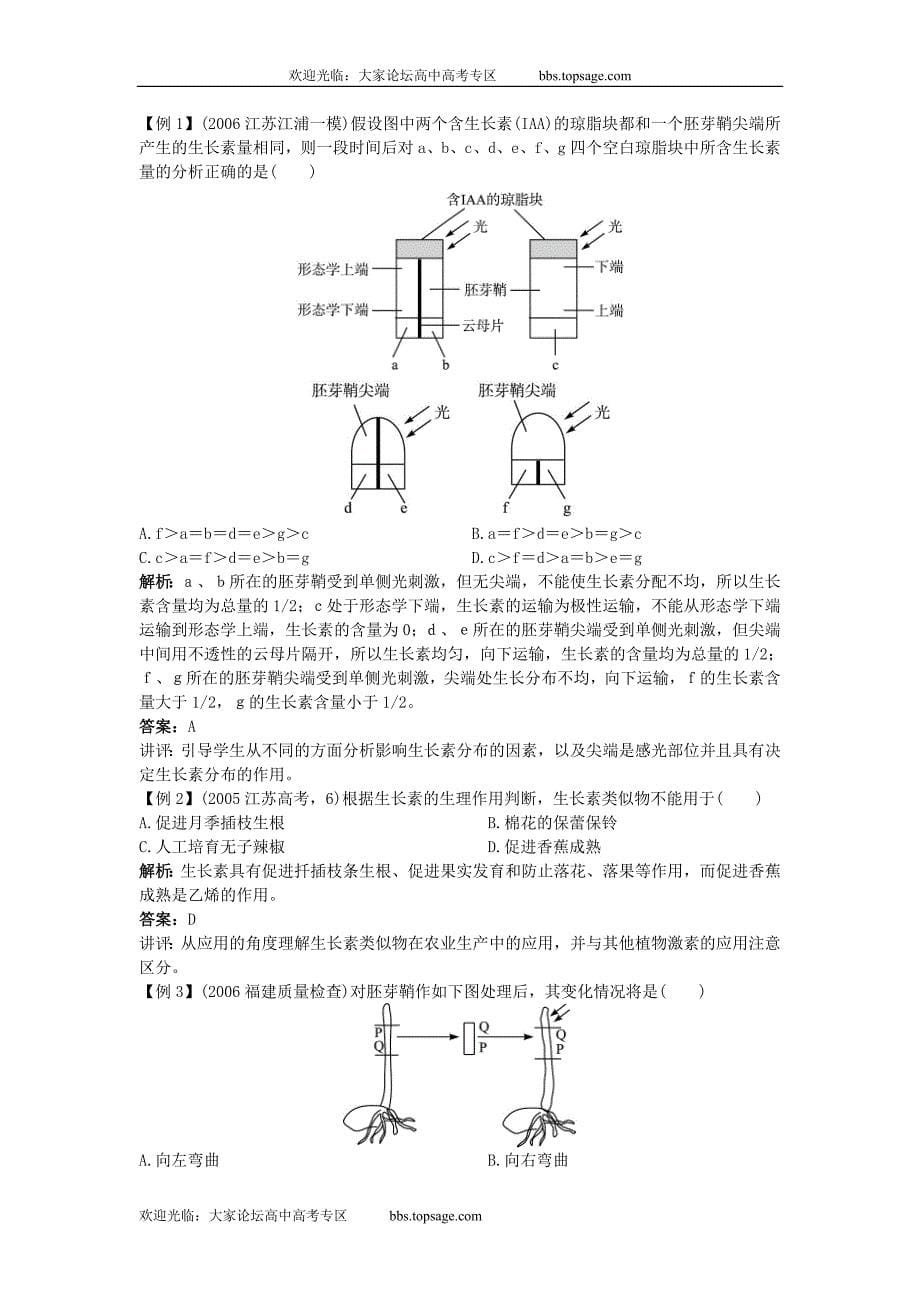 高中总复习第一轮生物第四章第一节植物的激素调节-教育汇.eduhui.cn.doc_第5页