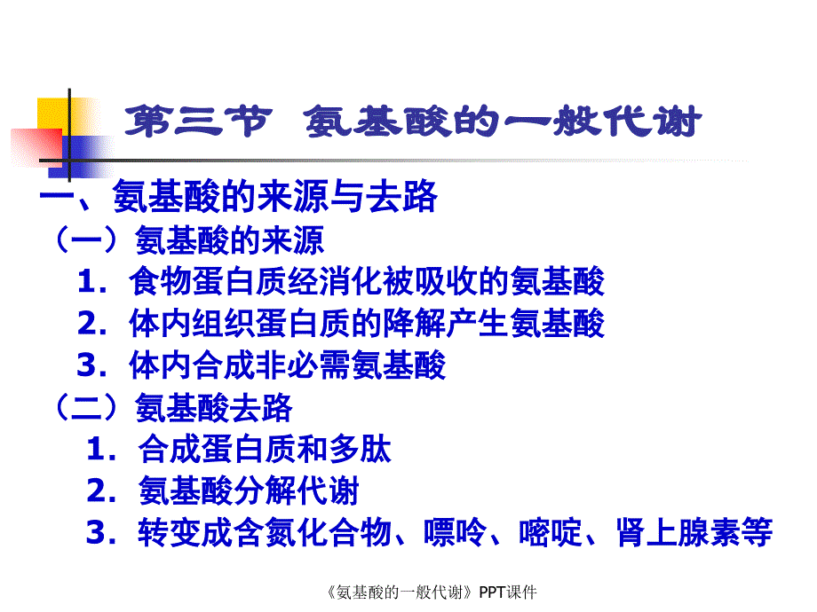 氨基酸的一般代谢课件_第1页