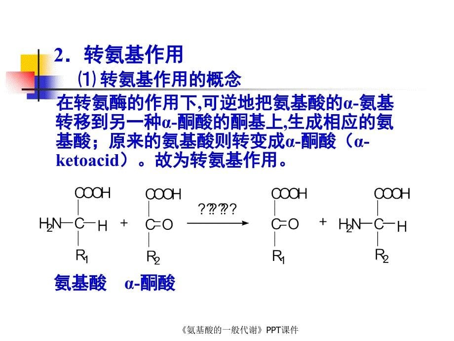 氨基酸的一般代谢课件_第5页