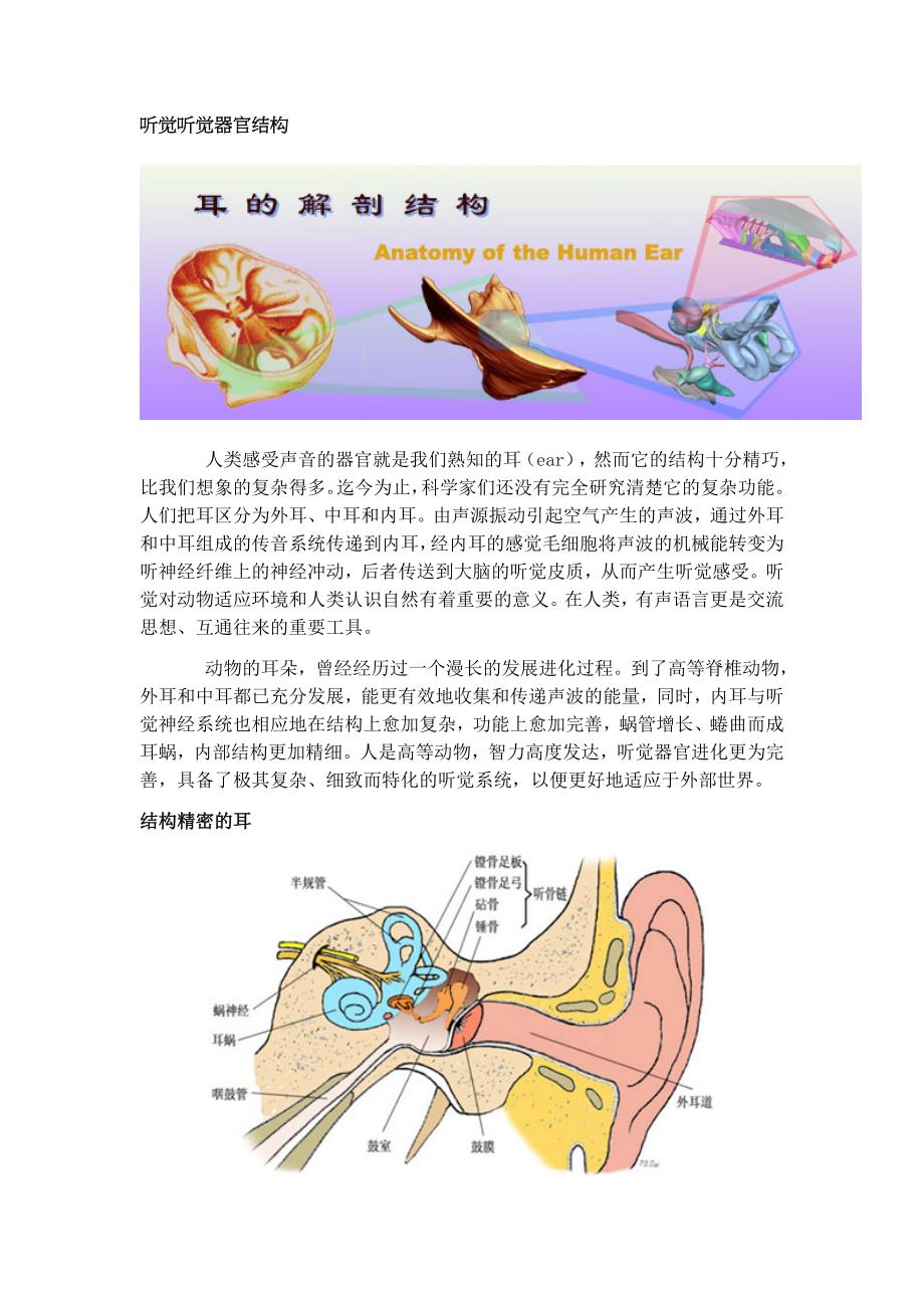 听觉-听觉器官结构_第1页