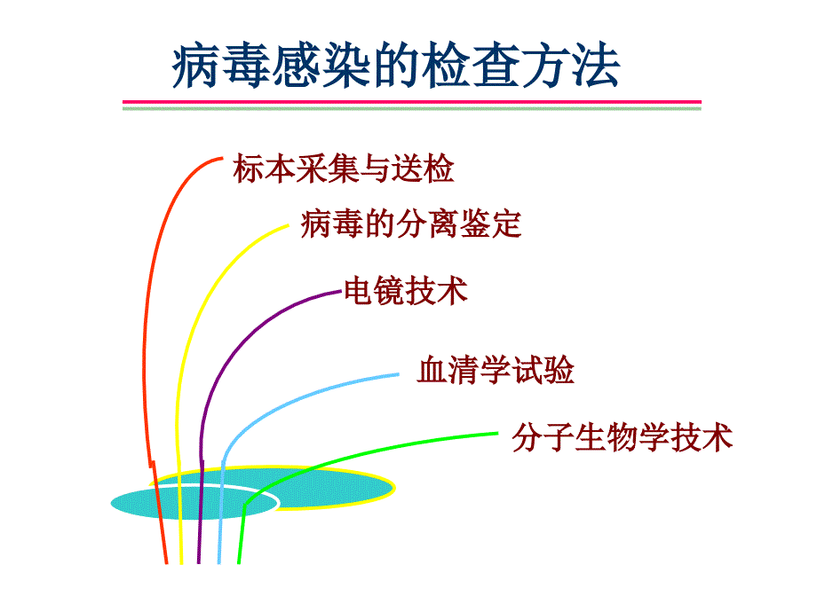 病毒感染的检查方法_第1页