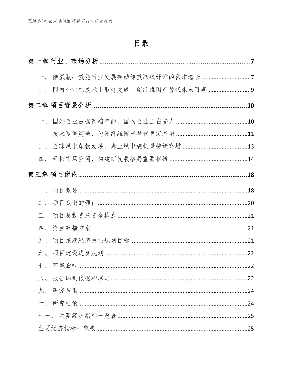 武汉储氢瓶项目可行性研究报告【范文模板】_第1页