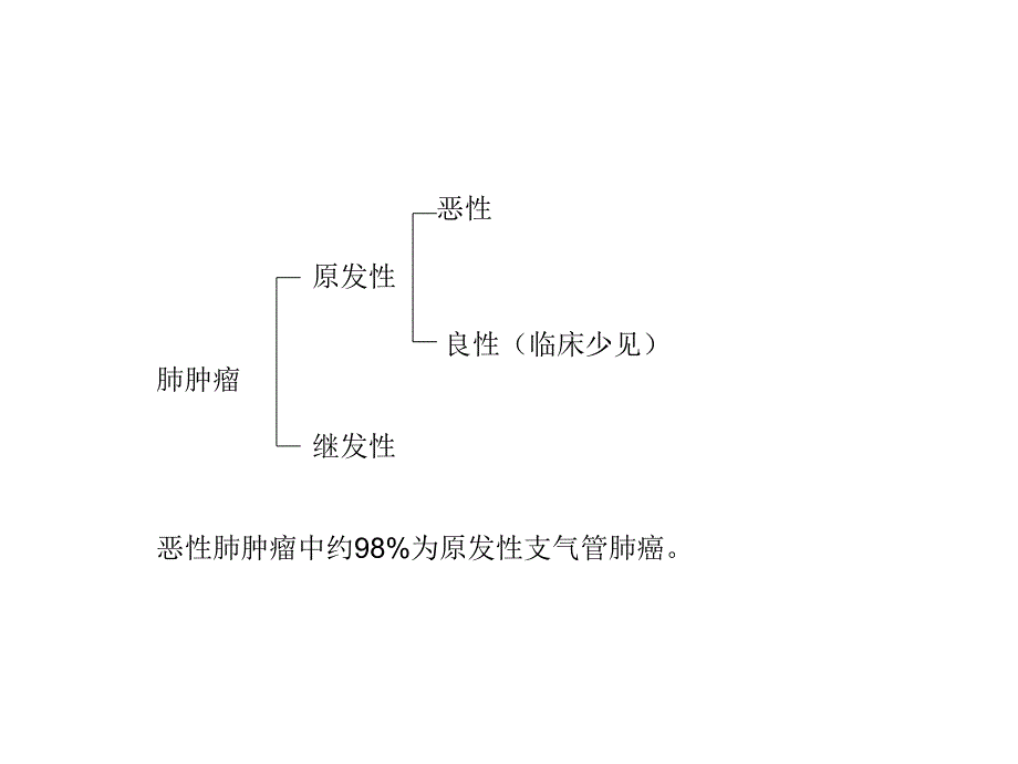 肺癌的影像学检查PPT课件_第4页