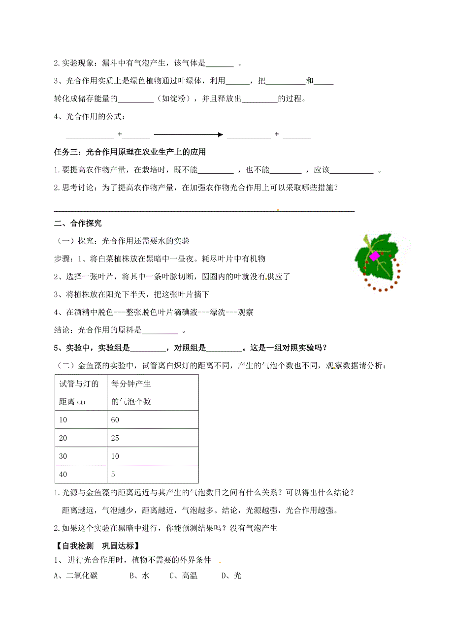 广西桂林市雁山中学七年级生物上册第3单元第5章第1节光合作用吸收二氧化碳释放氧气导学案无答案新版新人教版_第2页