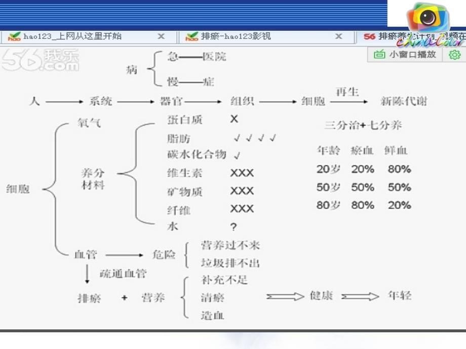 医学专题：放血排瘀疗法讲义._第5页