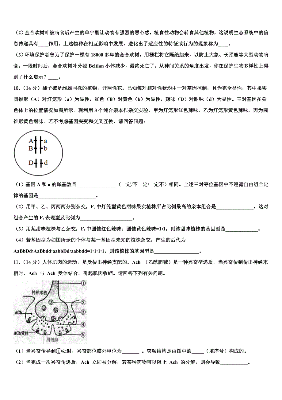 山东省文登一中2023年高三一诊考试生物试卷(含解析）.doc_第4页