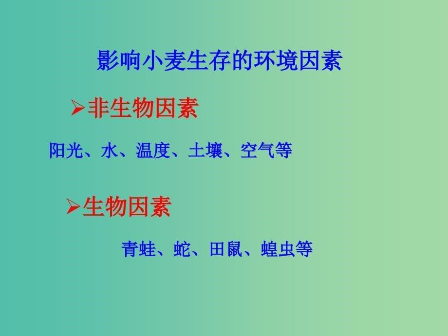 七年级生物上册 1.2.1 生物与环境的关系教学课件 新人教版.ppt_第5页